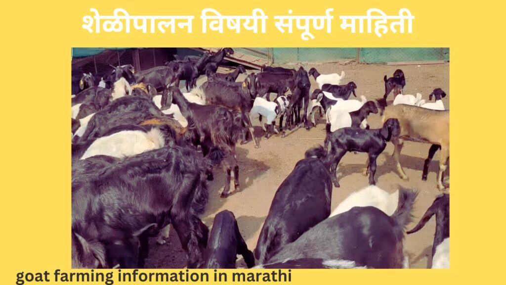 goat farming information in marathi