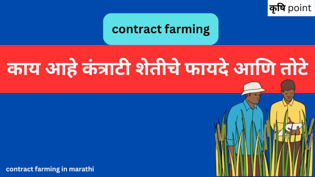 contract farming in marathi काय आहे कंत्राटी शेतीचे फायदे आणि तोटे