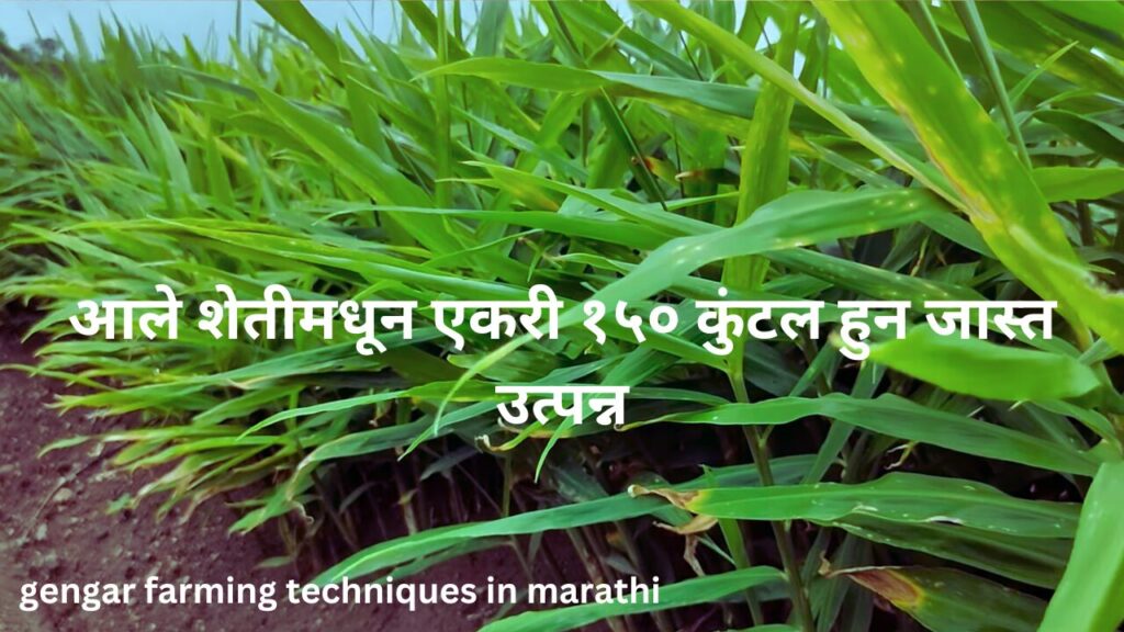 gengar farming techniques in marathi