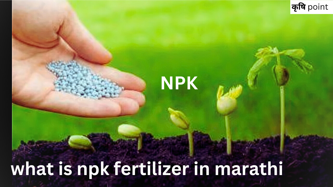 what is npk fertilizer in marathi