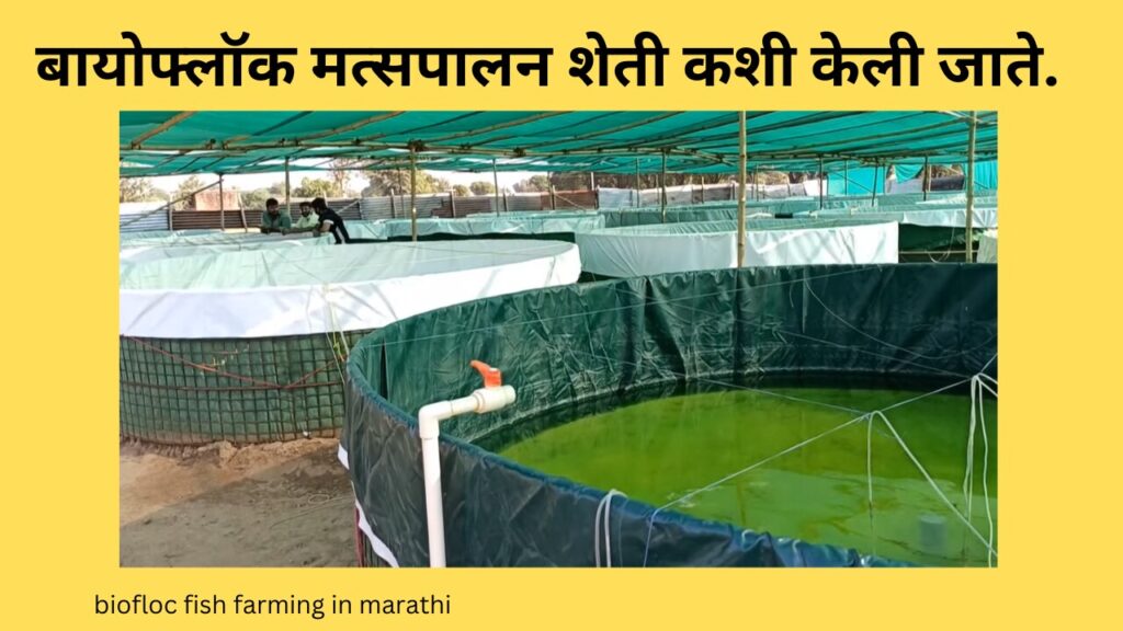 biofloc fish farming in marathi 