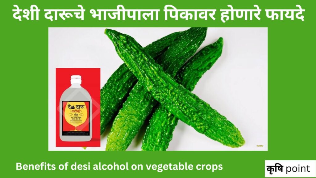 Benefits of desi alcohol on vegetable crops