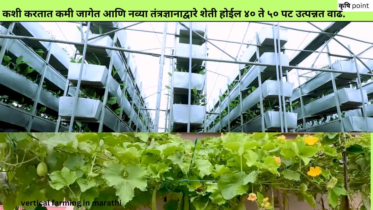 vertical farming in marathiकशी करतात कमी जागेत आणि नव्या तंत्रज्ञानाद्वारे शेती होईल ४० ते ५० पट उत्पन