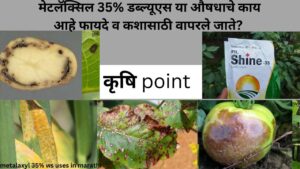 metalaxyl 35% ws uses in marathi मेटलॅक्सिल 35% डब्ल्यूएस या औषधाचे काय आहे फायदे व कशासाठी वापरले जाते