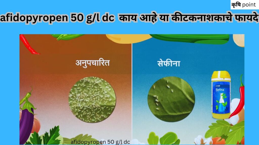 afidopyropen 50 g/l dc (एफिडोपाइरोपेन 50 जी/एल डीसी) काय आहे या कीटकनाशकाचे फायदे या विषयी सविस्तर माहिती बघणार आहोत.