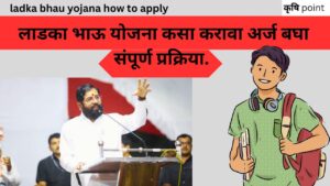 ladka bhau yojana how to apply लाडका भाऊ योजना काय आहे योजनेचे स्वरूप कसा करावा अर्ज बघा संपूर्ण प्रक्रिया