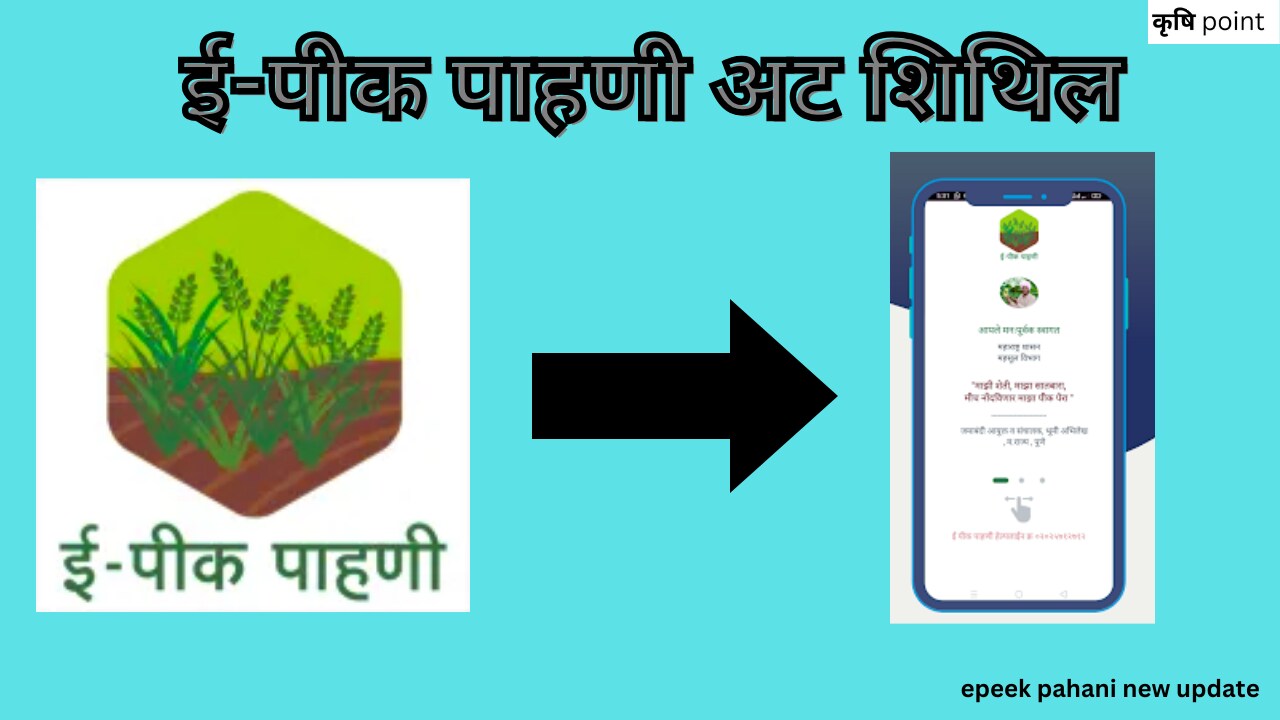 epeek pahani new update मोठी खुशखबर ! हे शेतकरी अनुदानासाठी पात्र, ई-पीक पाहाणी अट शिथिल